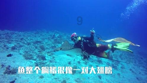 决战！平安京